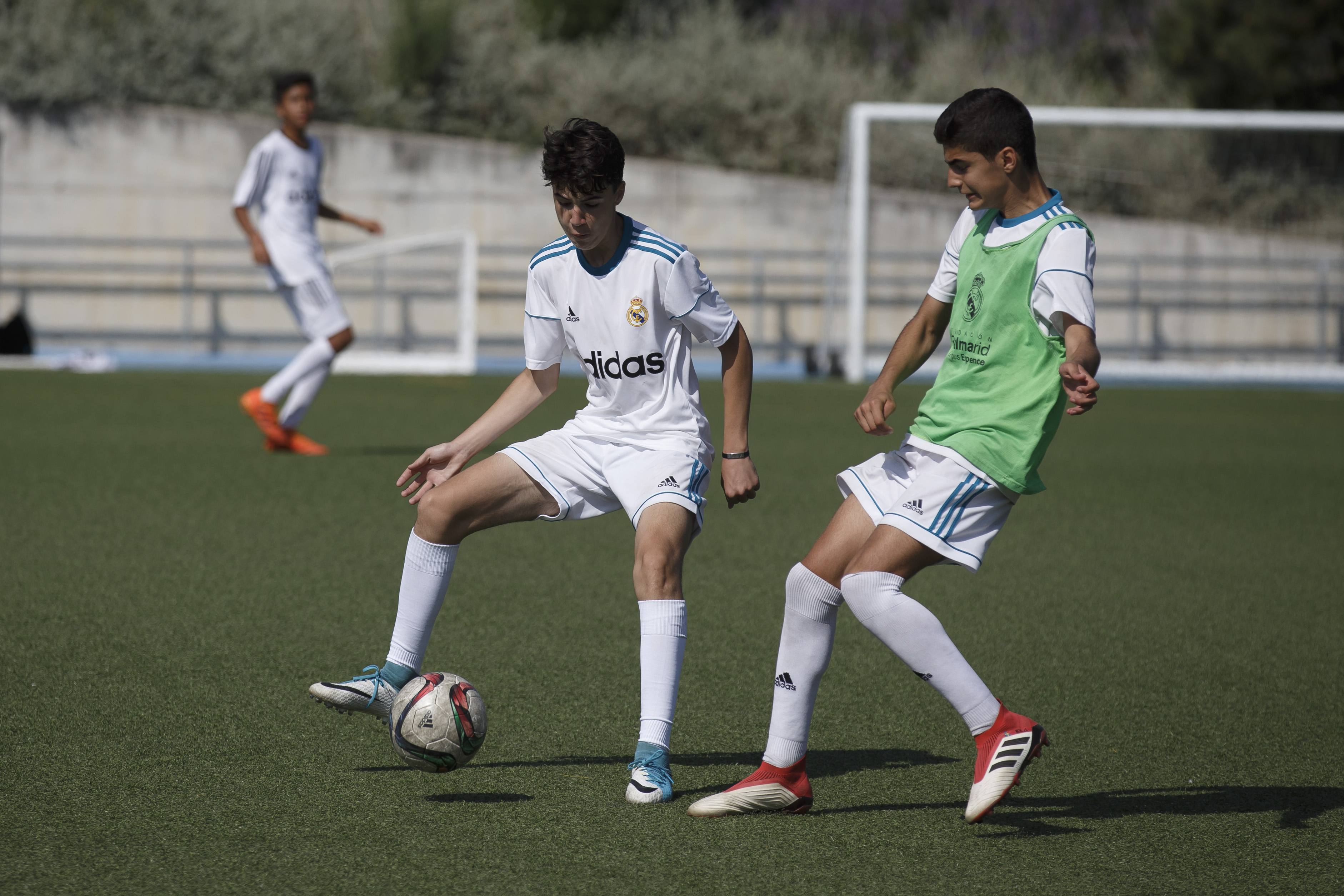 Youth team training session
